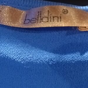 NWT belldini rayon/nylon blend Azul blue blouse w ruffled v-neck & sleeves Lg